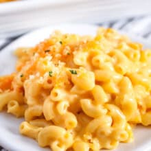 A plate of Velveeta mac and cheese ready to serve