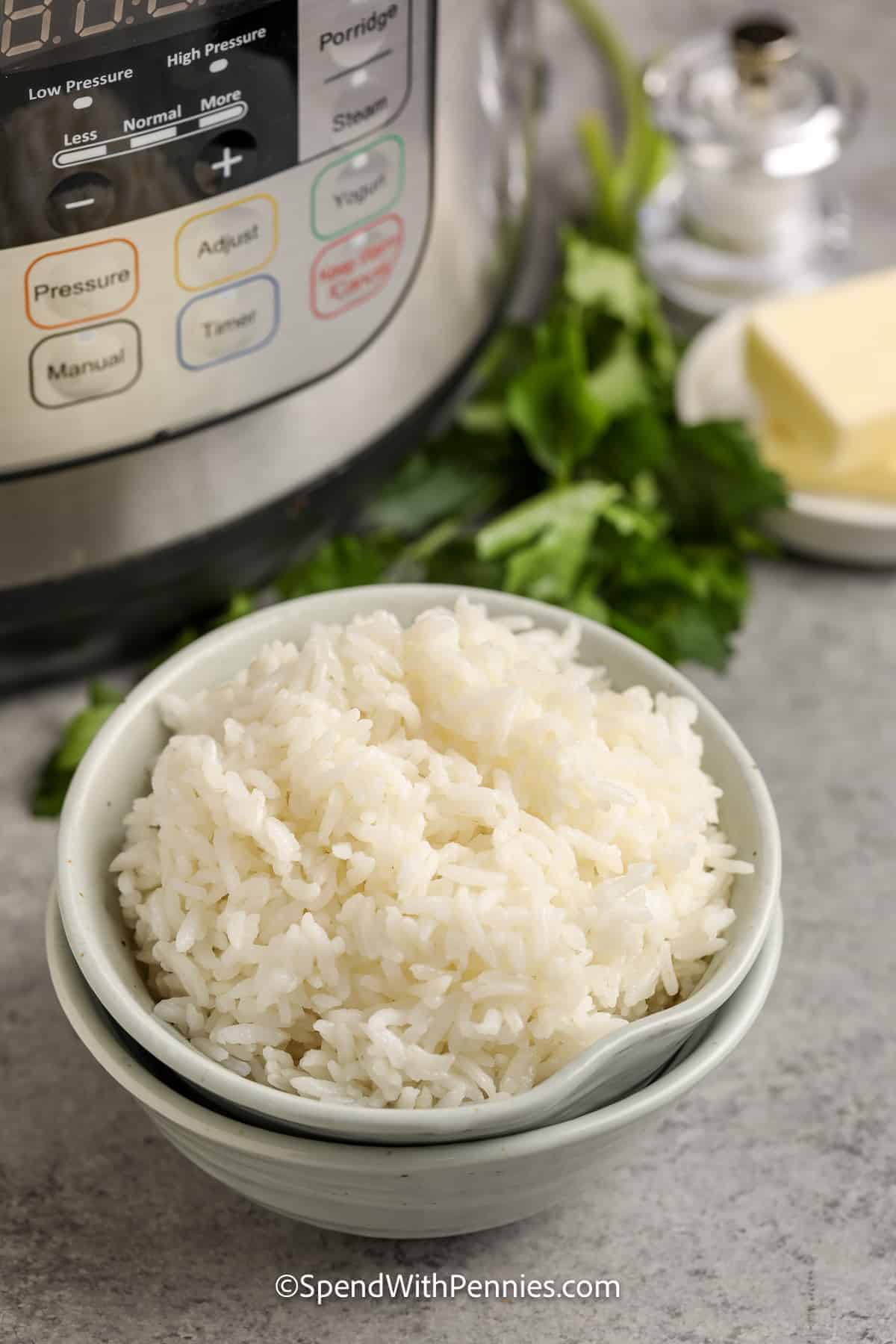 Instant Pot Rice in a bowl