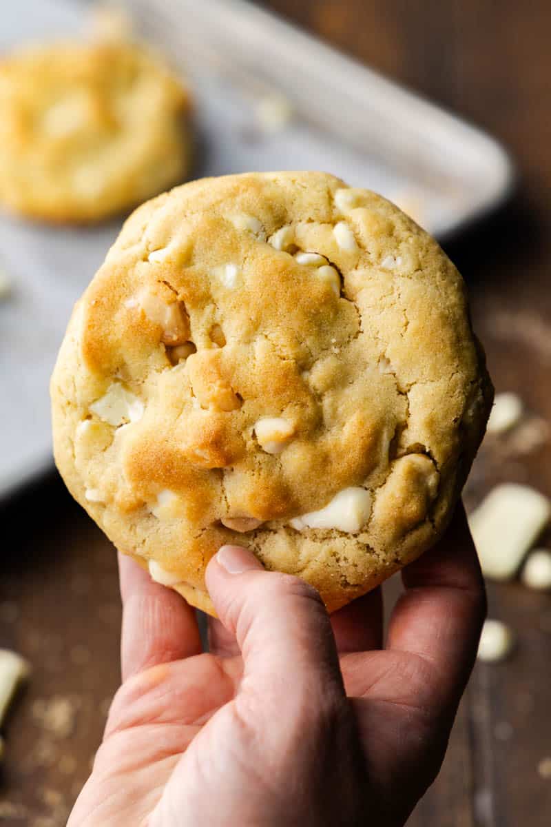 A hand holding a white chocolate macadamia nut cookie.