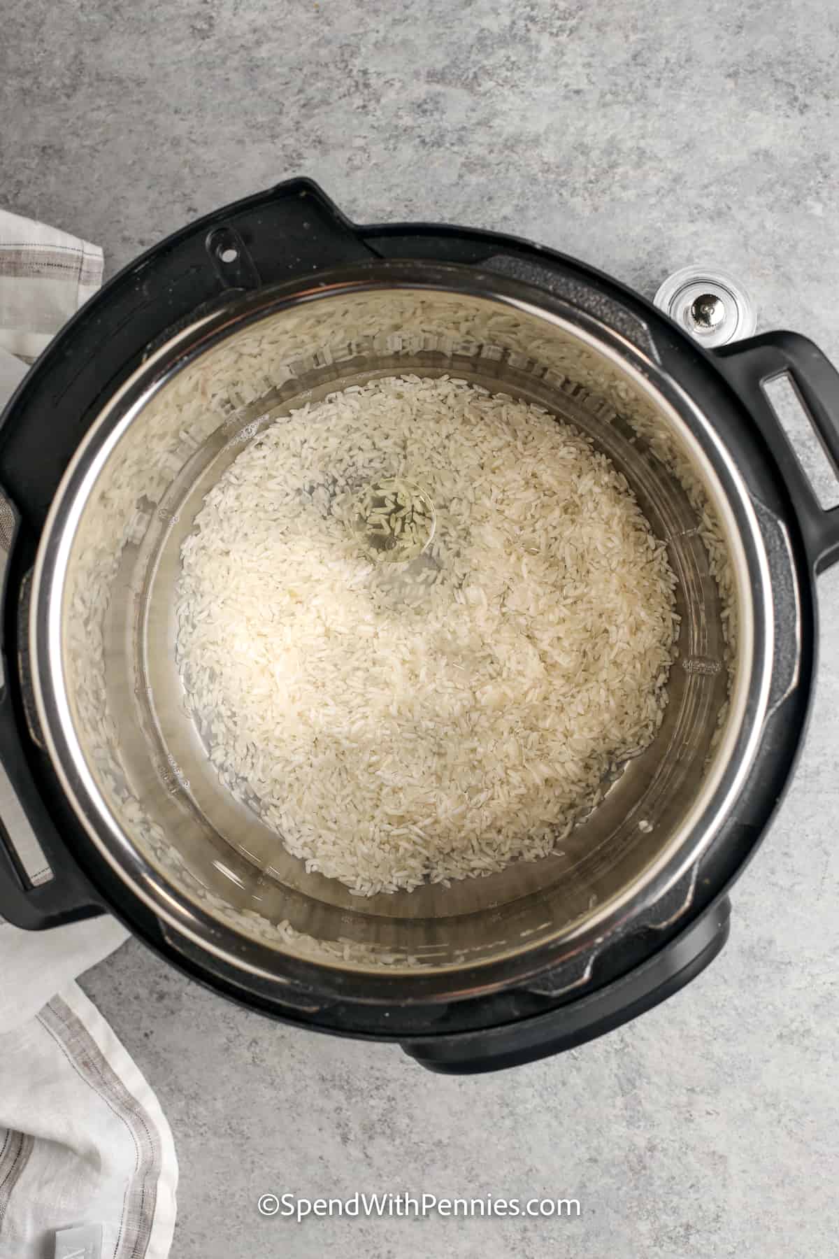 top view of uncooked rice in an instant pot