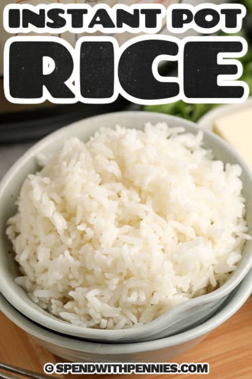 bowl of Instant Pot Rice with a title