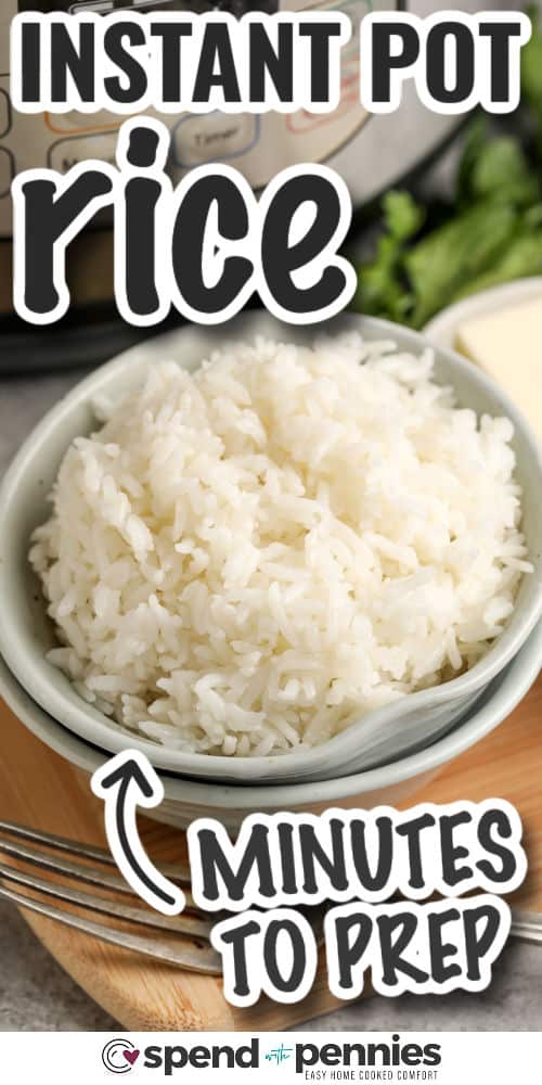 plated Instant Pot Rice with writing