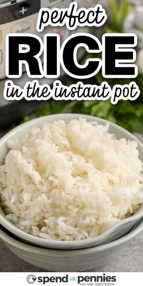 close up of Instant Pot Rice with writing