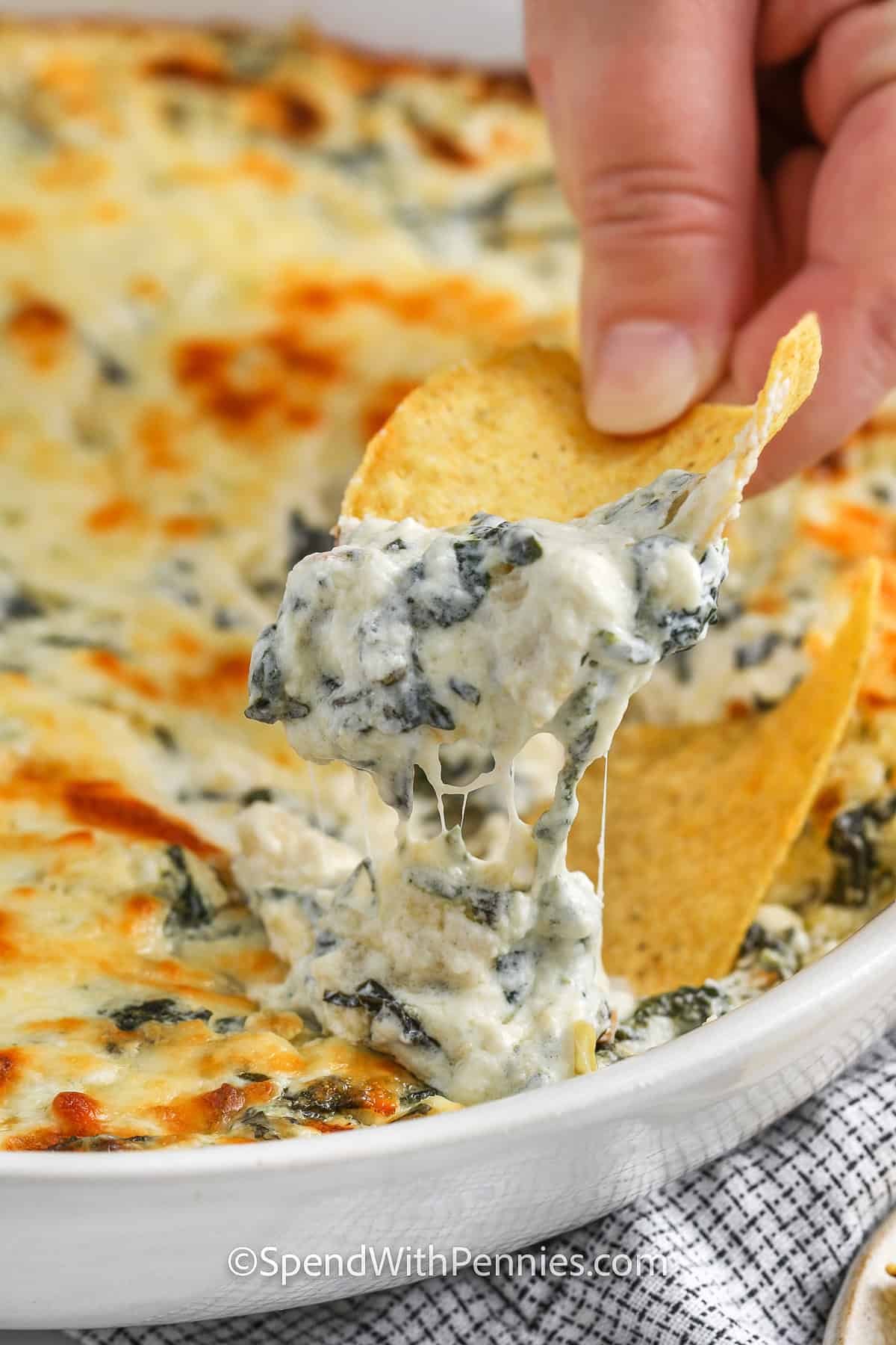 dipping a chip in The Best Spinach Artichoke Dip