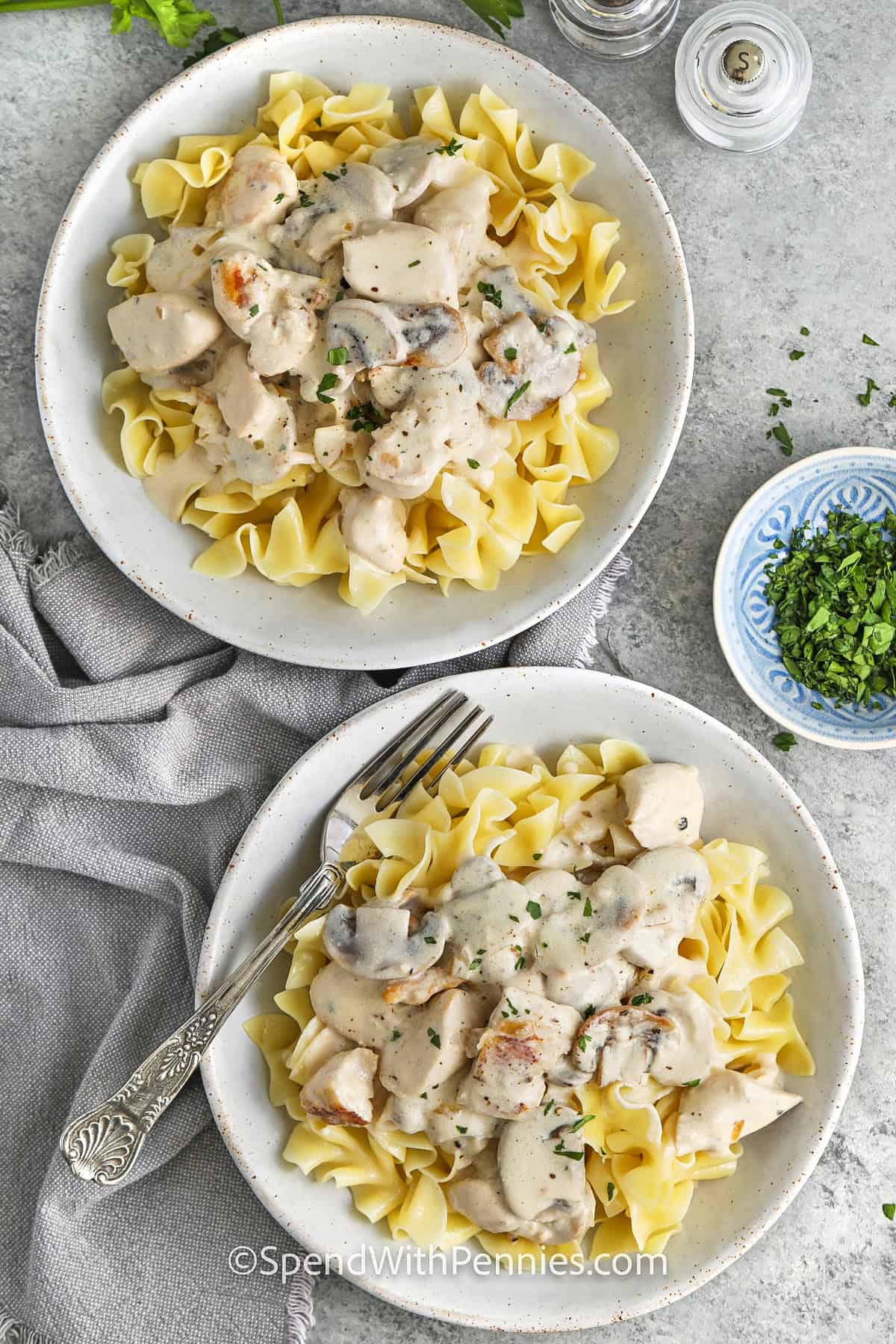 plates of Chicken Stroganoff with a fork