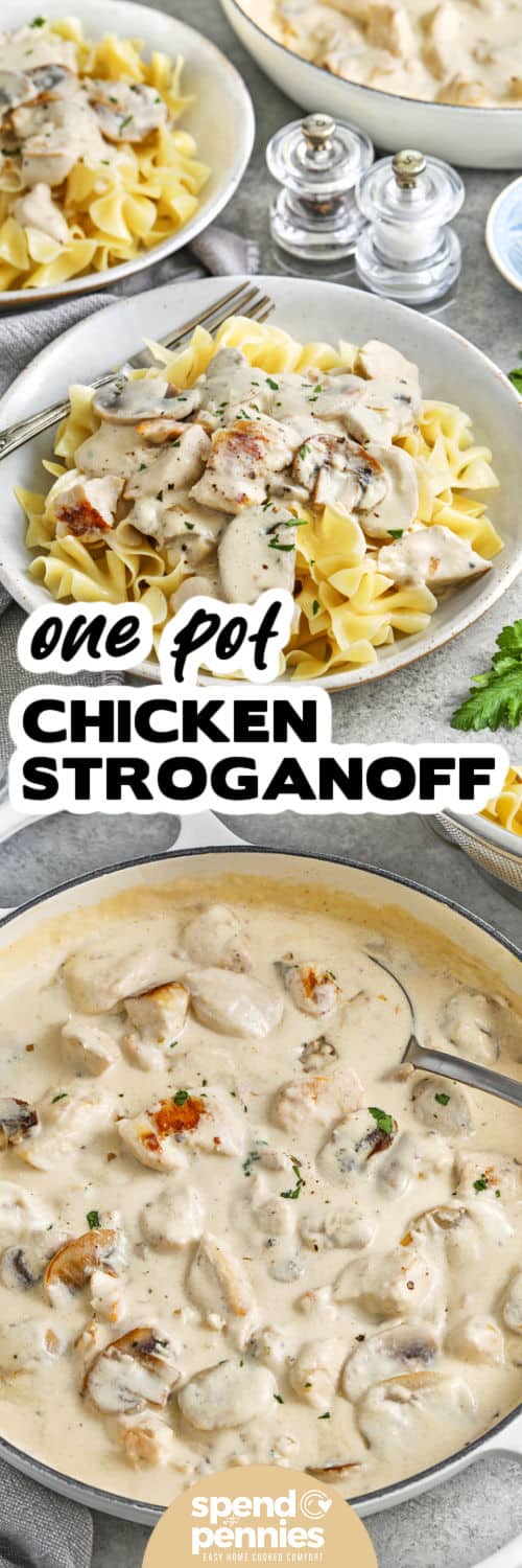 Chicken Stroganoff in a pan and plated on noodles with a title