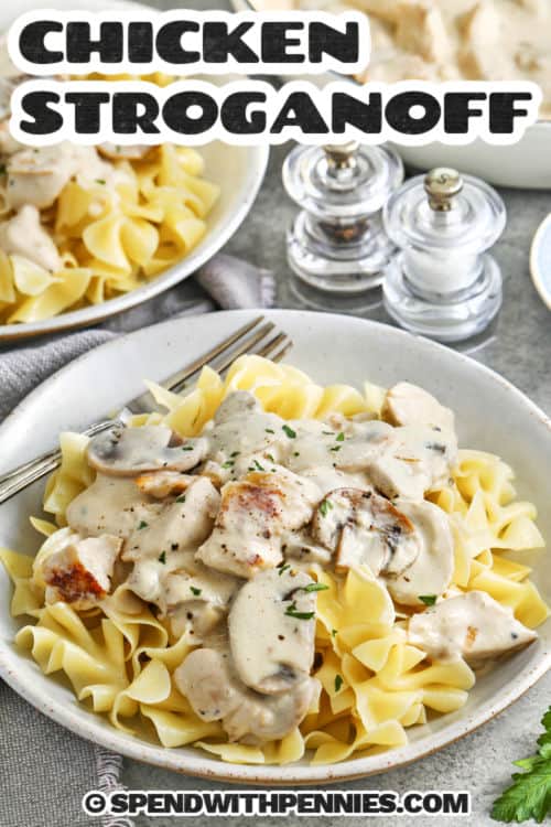 bowls of Chicken Stroganoff with a title