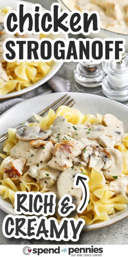 rich and creamy Chicken Stroganoff with writing