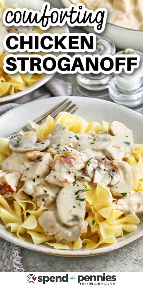 comforting Chicken Stroganoff on noodles with a title