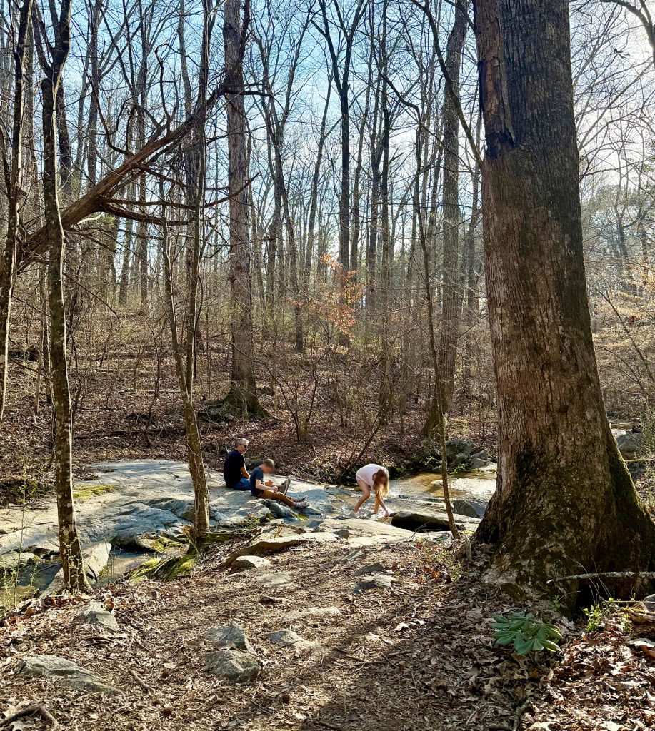 Family Playing In Creek In Serenbe Georgia